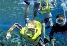 Molokini Morning Picnic Snorkel